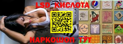 шишки Будённовск