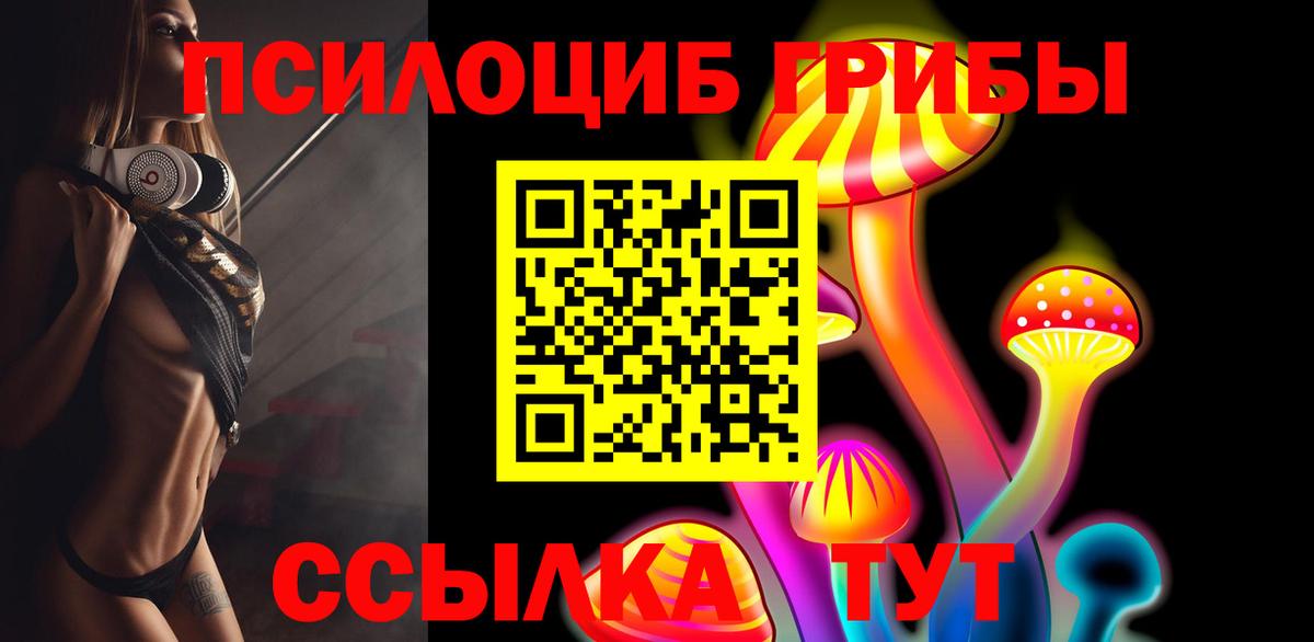 Бузулук  где найти   Вход с VPN  Галлюциногенные грибы MAGIC MUSHROOMS 